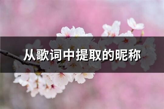 从歌词中提取的昵称(119个)