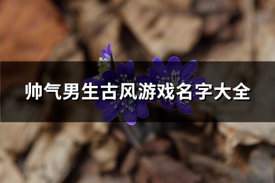 帅气男生古风游戏名字大全(优选425个)