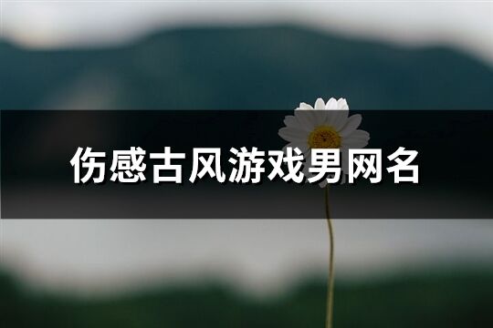 伤感古风游戏男网名(263个)