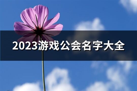 2023游戏公会名字大全(166个)