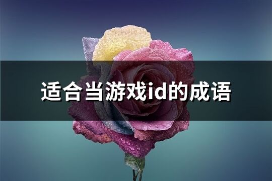 适合当游戏id的成语(共83个)