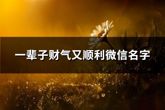 一辈子财气又顺利微信名字(精选389个)