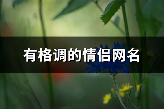 有格调的情侣网名(共85个)