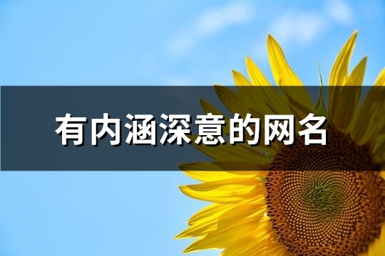 有内涵深意的网名(1063个)