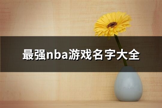 最强nba游戏名字大全(精选357个)