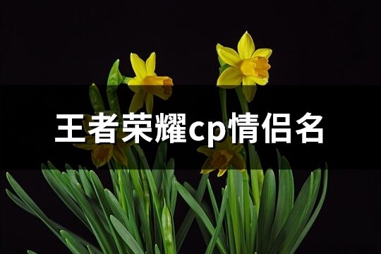 王者荣耀cp情侣名(优选351个)