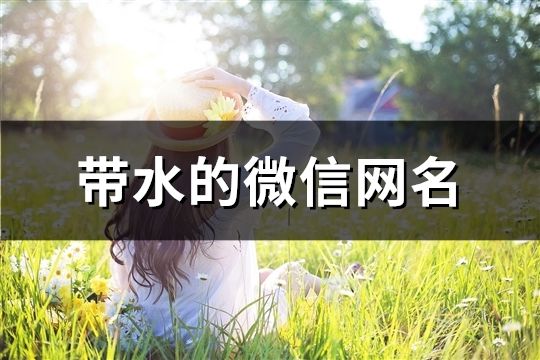 带水的微信网名(共185个)