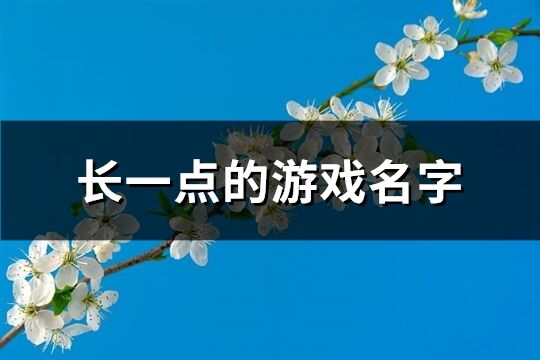 长一点的游戏名字(共201个)