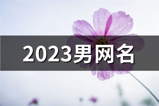 2023男网名(1074个)