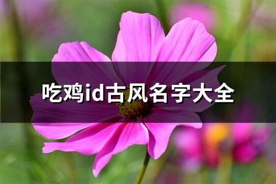 吃鸡id古风名字大全(共168个)