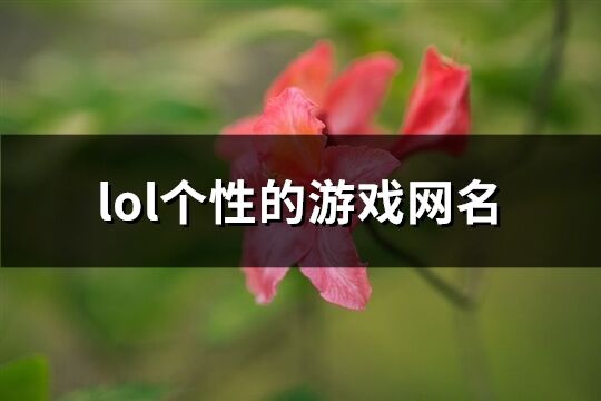 lol个性的游戏网名(536个)