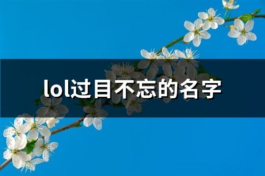 lol过目不忘的名字(542个)