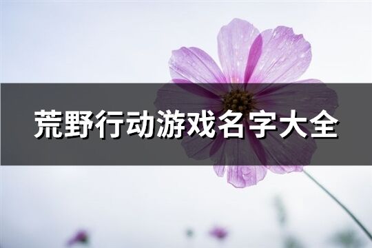 荒野行动游戏名字大全(精选460个)