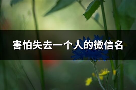 害怕失去一个人的微信名(精选168个)