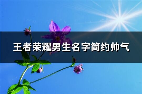 王者荣耀男生名字简约帅气(精选421个)