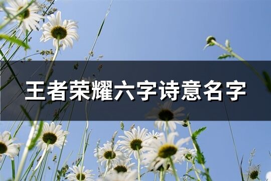 王者荣耀六字诗意名字(457个)