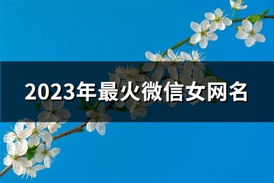 2023年最火微信女网名(精选661个)