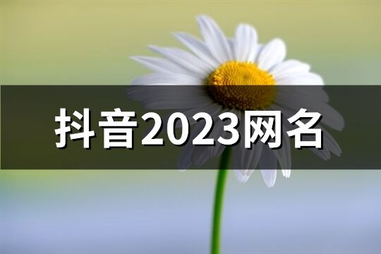 抖音2023网名(优选1445个)