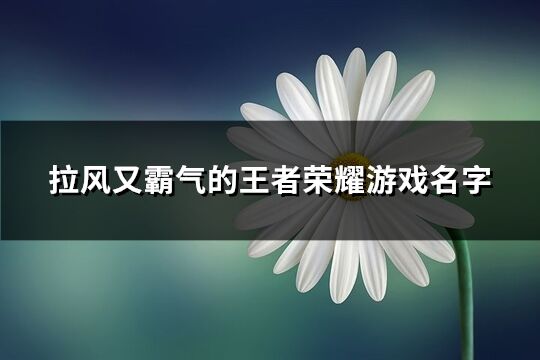 拉风又霸气的王者荣耀游戏名字(精选489个)