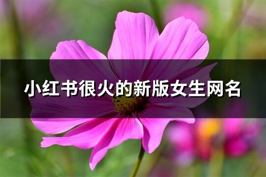 小红书很火的新版女生网名(精选145个)