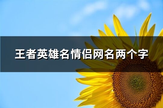 王者英雄名情侣网名两个字(精选250个)