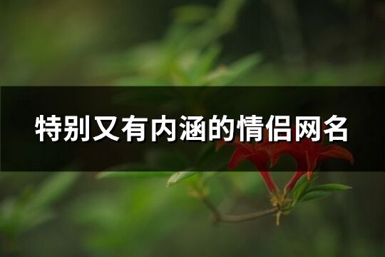 特别又有内涵的情侣网名(共232个)