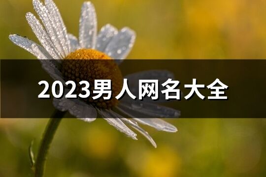 2023男人网名大全(优选1278个)