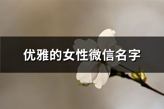 优雅的女性微信名字(880个)