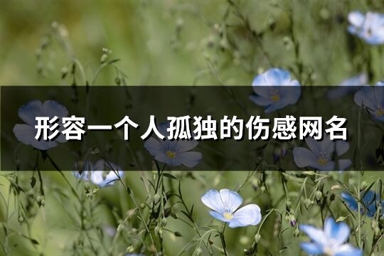 形容一个人孤独的伤感网名(共281个)