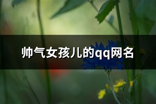 帅气女孩儿的qq网名(精选140个)