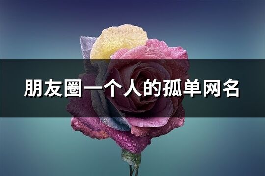 朋友圈一个人的孤单网名(共248个)