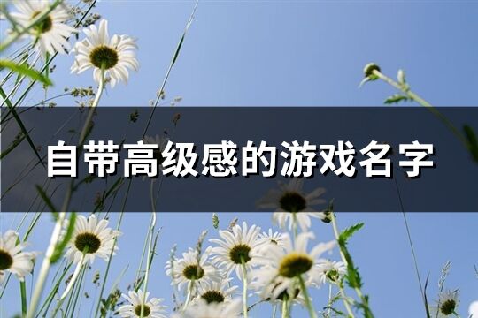 自带高级感的游戏名字(共158个)