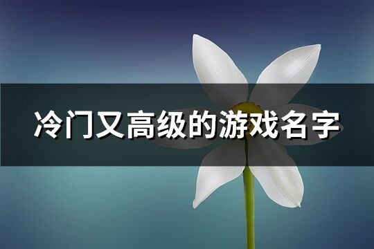 冷门又高级的游戏名字(共473个)