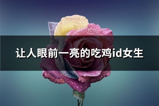 让人眼前一亮的吃鸡id女生(135个)