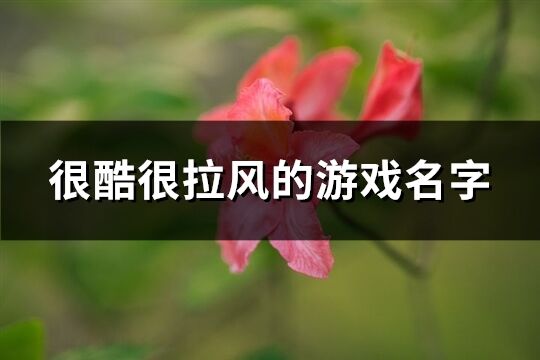 很酷很拉风的游戏名字(258个)