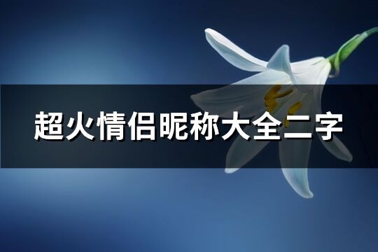 超火情侣昵称大全二字(共1290个)