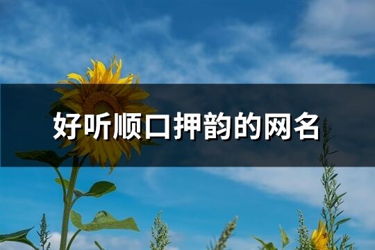 好听顺口押韵的网名(共191个)