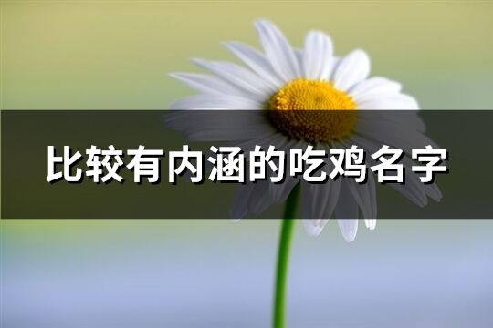 比较有内涵的吃鸡名字(238个)