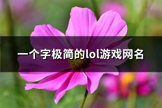 一个字极简的lol游戏网名(共173个)