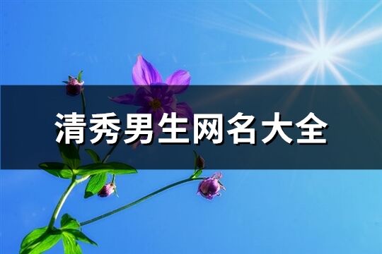 清秀男生网名大全(共467个)