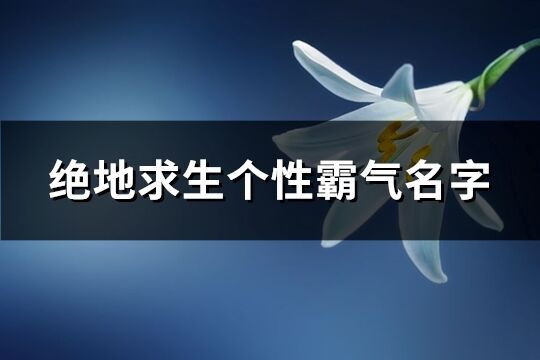 绝地求生个性霸气名字(优选163个)