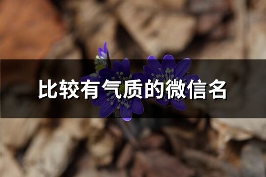 比较有气质的微信名(精选1599个)