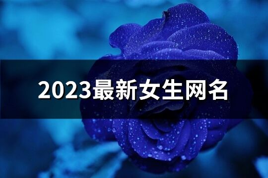 2023最新女生网名(956个)