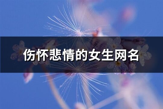 伤怀悲情的女生网名(共316个)