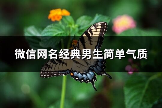 微信网名经典男生简单气质(752个)