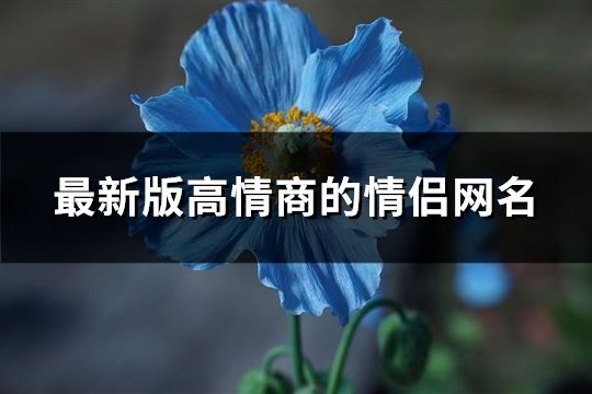 最新版高情商的情侣网名(87个)