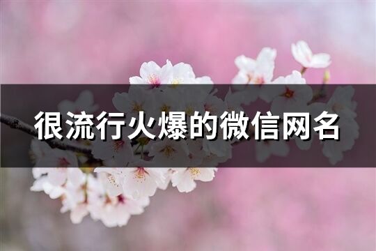 很流行火爆的微信网名(共643个)