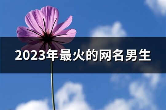 2023年最火的网名男生(491个)