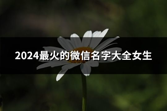 2024最火的微信名字大全女生(精选133个)