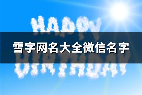 雪字网名大全微信名字(330个)